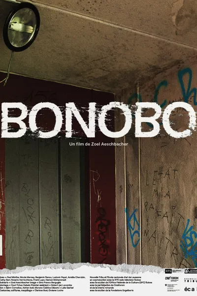 Bonobo