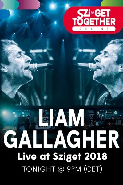 Liam Gallagher au Sziget Festival