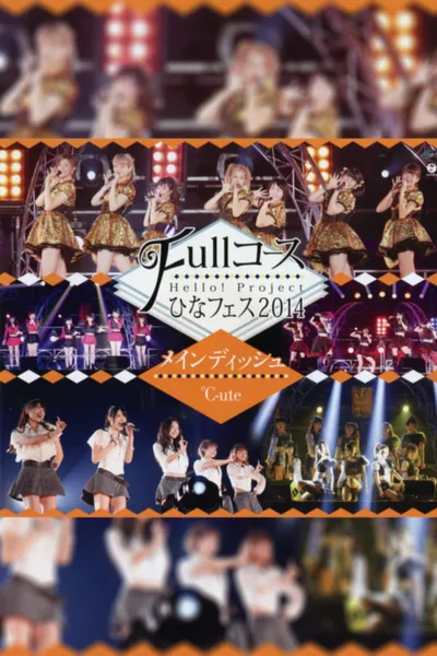 Hello! Project 2014 Hina Fes ~Full Course~ Main Dish wa ℃-ute Desu.