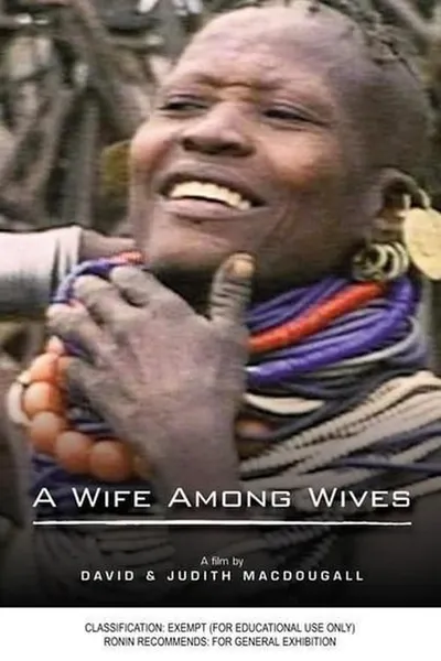 A Wife Among Wives