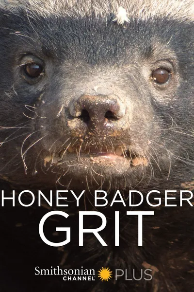 Honey Badger: Grit