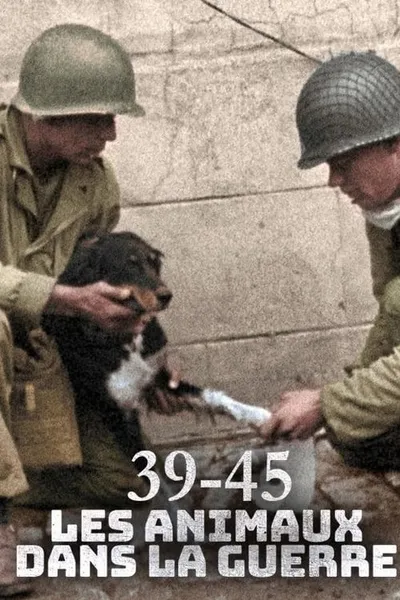 Animals at War, Wild Heroes of World War II