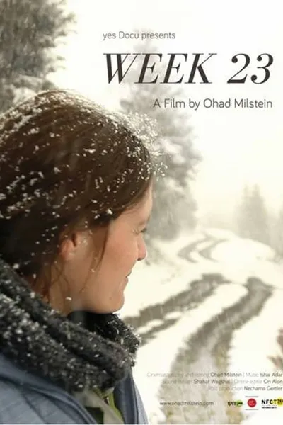 Week 23