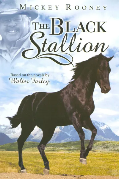 The Adventures of the Black Stallion