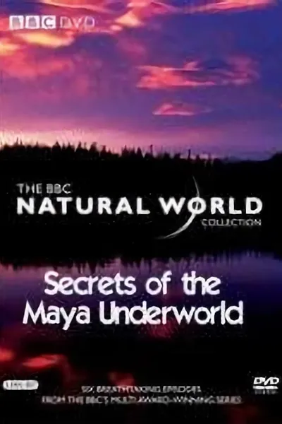 Secrets Of The Maya Underworld