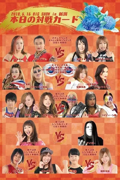 Sendai Girls Joshi Puroresu Big Show 2018 In Niigata