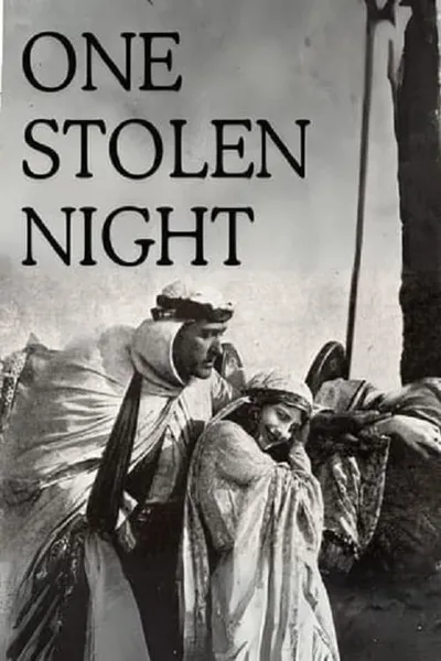 One Stolen Night