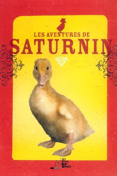 Les Aventures de Saturnin