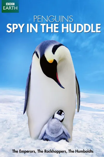 Penguins: Spy in the Huddle