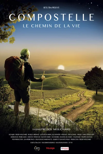 Compostelle, le chemin de la vie