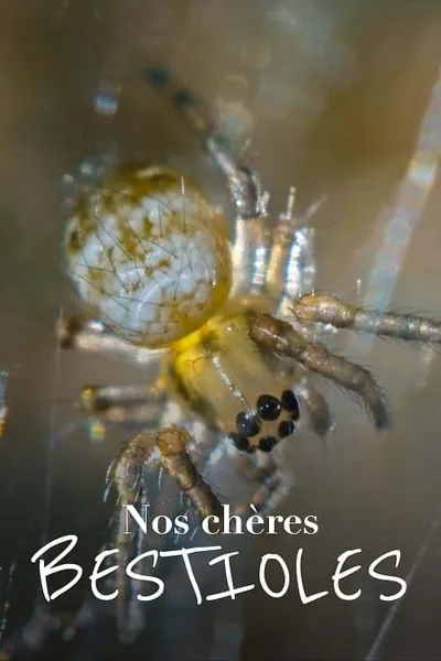 Nos chères bestioles