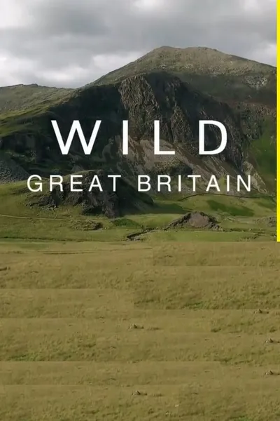 Wild Great Britain