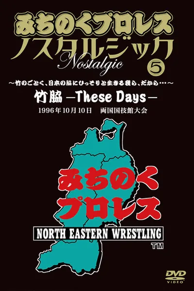 Michinoku Pro 3rd Anniversary: These Days