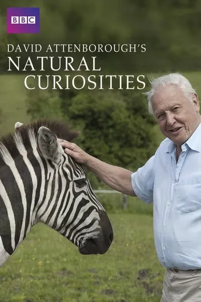 David Attenborough's Natural Curiosities