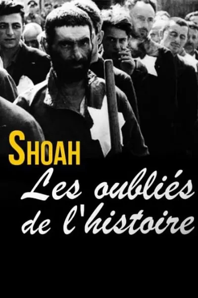 Shoah, les oubliés de l'histoire