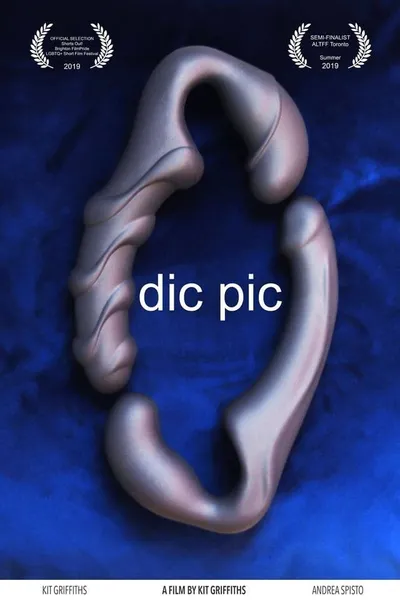 Dic Pic