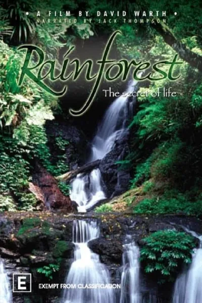 Rainforest: The Secret Of Life