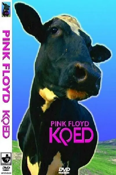 Pink Floyd ‎– KQED