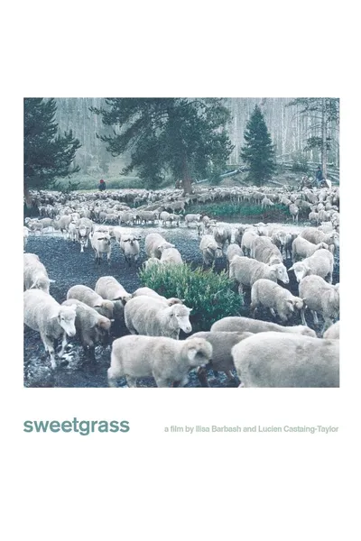 Sweetgrass