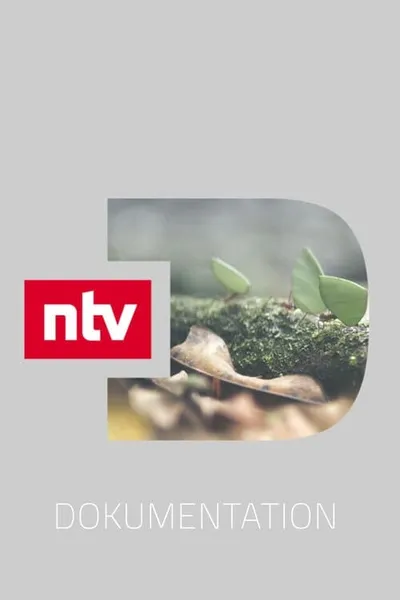 ntv Dokumentation