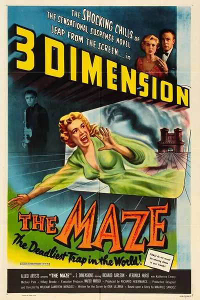 The Maze