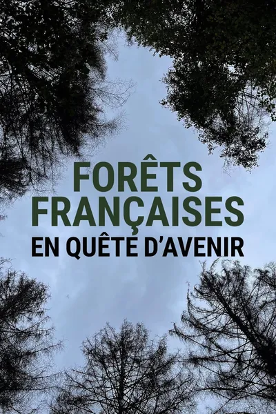 Forêts françaises en quête d'avenir