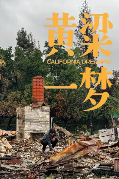 美洲大宝荐：黄粱一梦