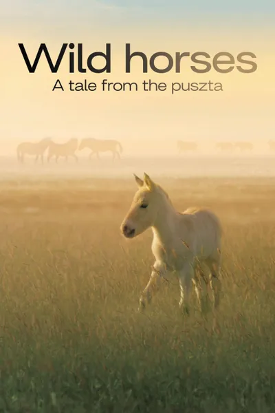 Wild Horses - A Tale From The Puszta