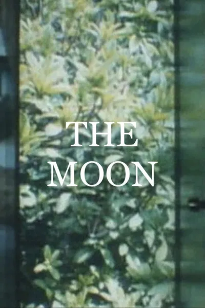 The Moon